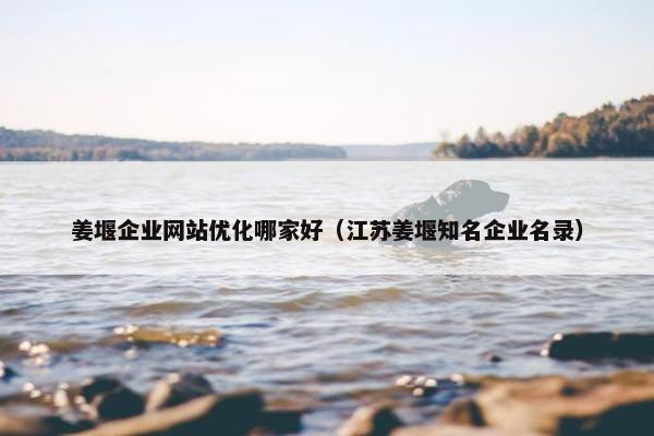 姜堰企业网站优化哪家好（江苏姜堰知名企业名录）