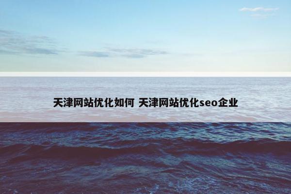 天津网站优化如何 天津网站优化seo企业