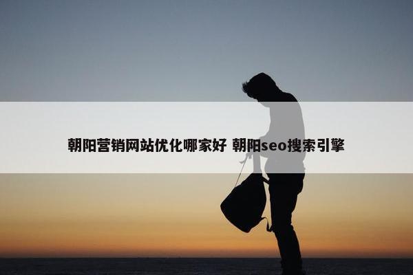 朝阳营销网站优化哪家好 朝阳seo搜索引擎